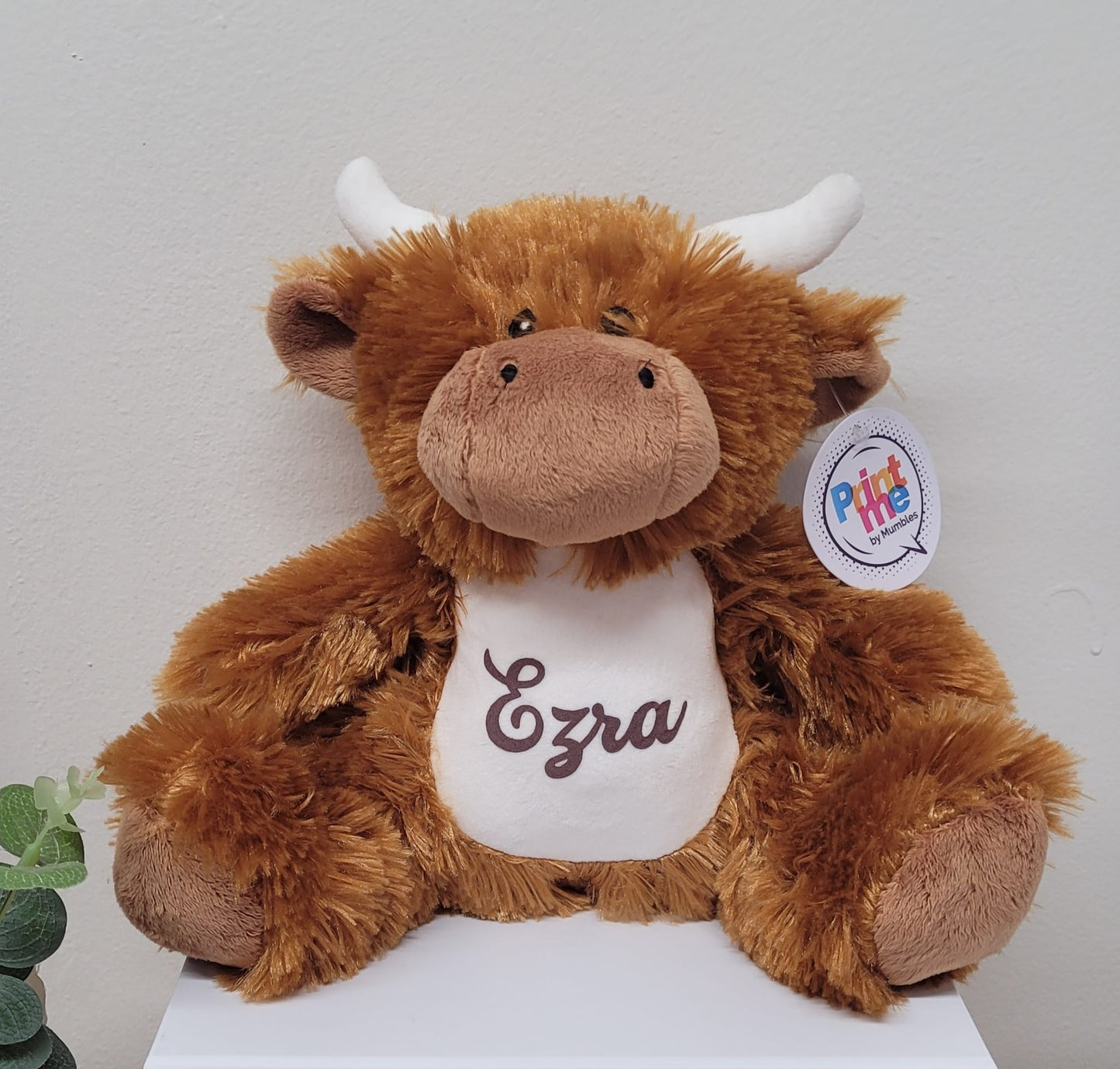 Personalised Highland Cow Teddy