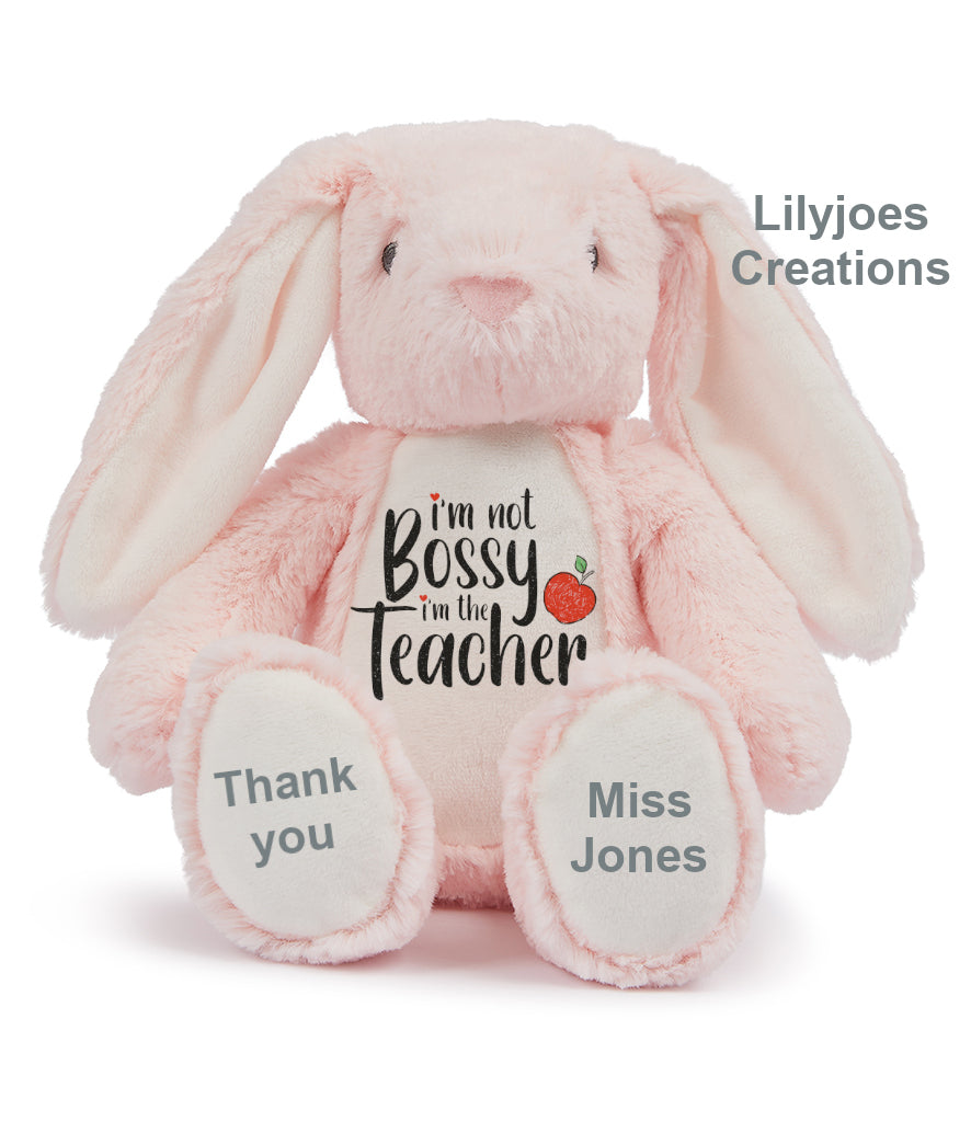 Personalised Teacher Teddy