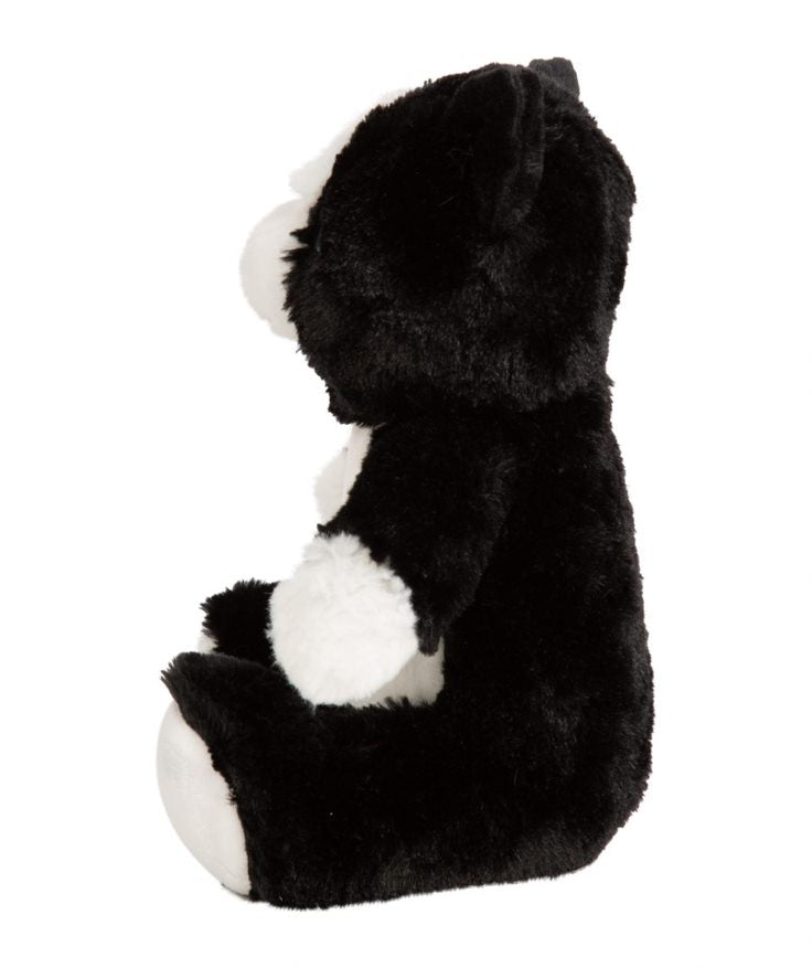 Personalised Cat Teddy