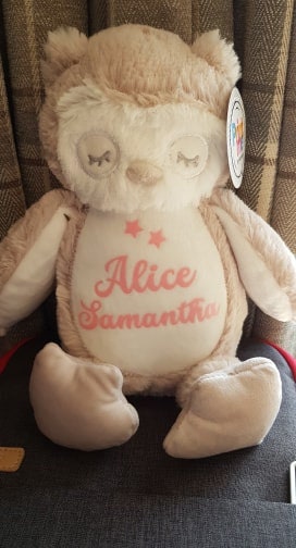 Personalised Owl Teddy