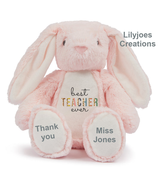 Personalised Teacher Teddy