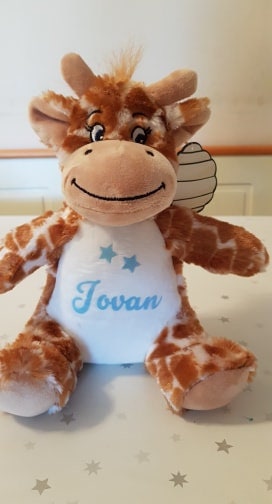 Personalised giraffe teddy and blanket gift